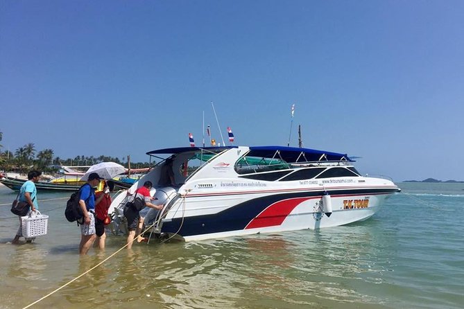 Speed Boat Private Sunset Snorkeling and sightseeing from Samui - Pig Island brings the tour’s most playful stop
