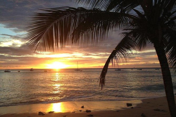 Speed Boat Private Sunset Snorkeling and sightseeing from Samui - The practical concerns you should not ignore