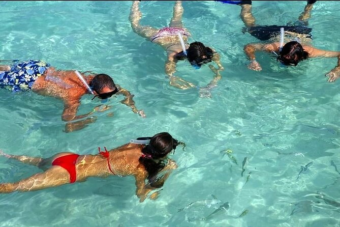 Speed Boat Ride and Snorkel Experience in Punta Cana - Guides, communication, and the human side of the outing