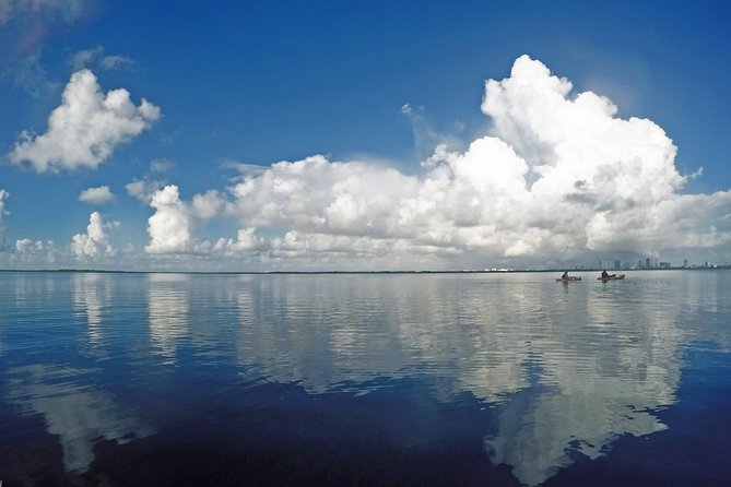 Speed Boat & Snorkel Tour with transportation ( only Cancun zone area) - Should you book the Speed Boat and Snorkel Tour?
