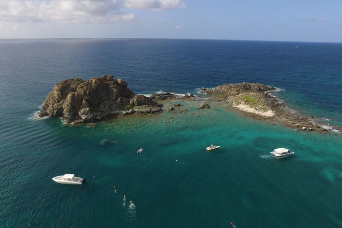 Speed Boat & Snorkeling Tour Pinel & Tintamarre Islands for CRUISE SHIP GUESTS - Cruising the western coast and feeding fish