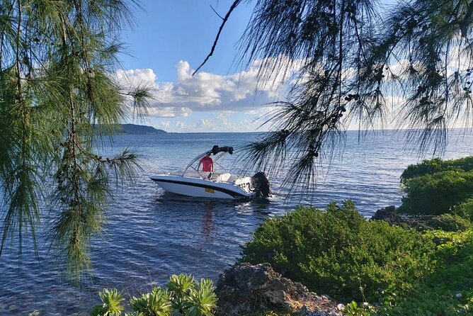 Speed Boat Tour île aux Cerfs and Others Gems of The South - Forty-five minutes near Lighthouse Island