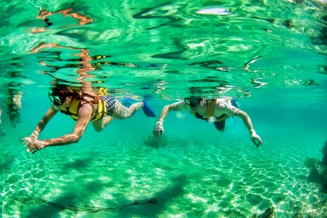 Speedboat across the Mangroves & Snorkel with Jet Ski Rental - What the $99 price really buys