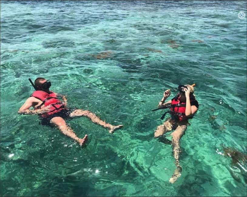 Speedboat Adventure and Snorkeling from Punta Cana - A Brief Wildlife Sighting and Photo Option