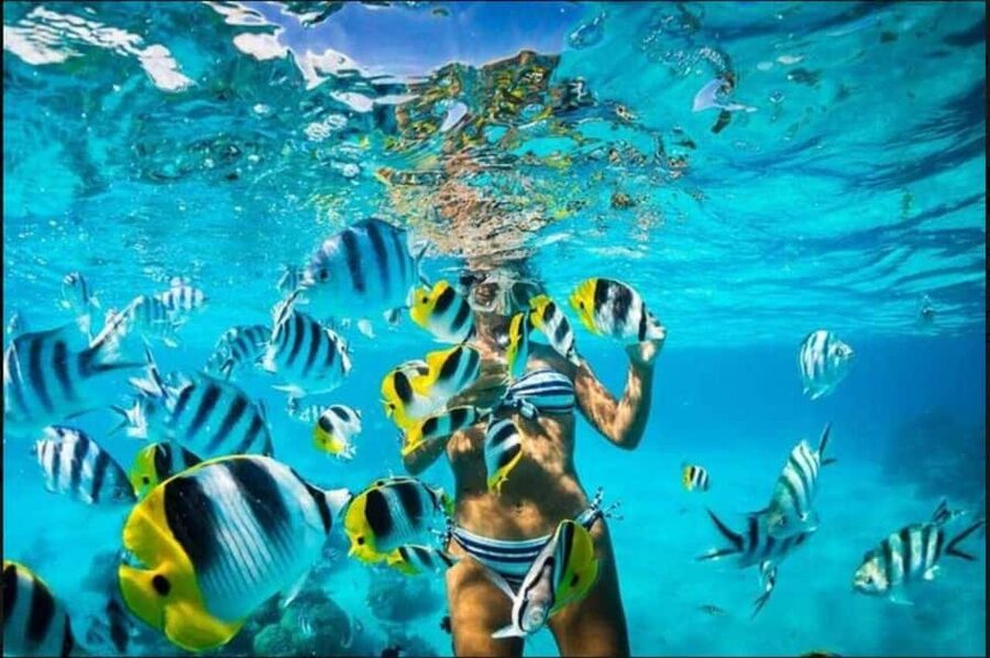Speedboat Adventure and Snorkeling from Punta Cana - Is $80 a Fair Price?