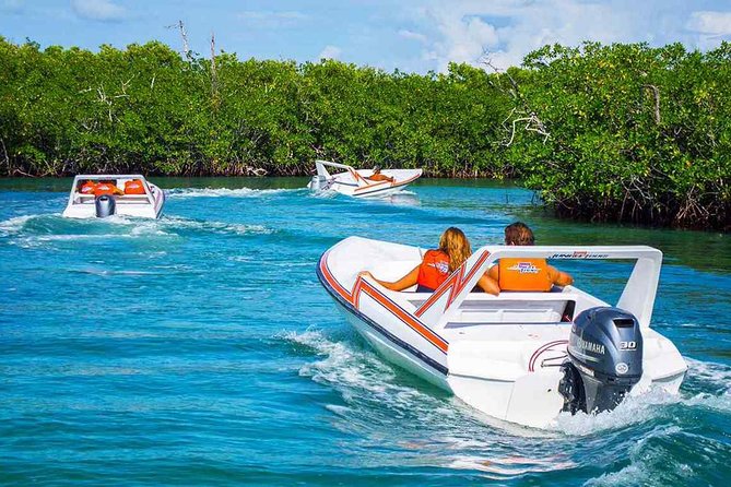Speedboat adventure in cancun waters - The $28 price needs a closer look
