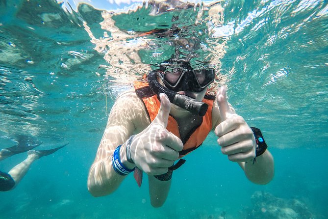 Speedboat adventure in cancun waters - Thirty minutes of snorkeling in Caribbean water