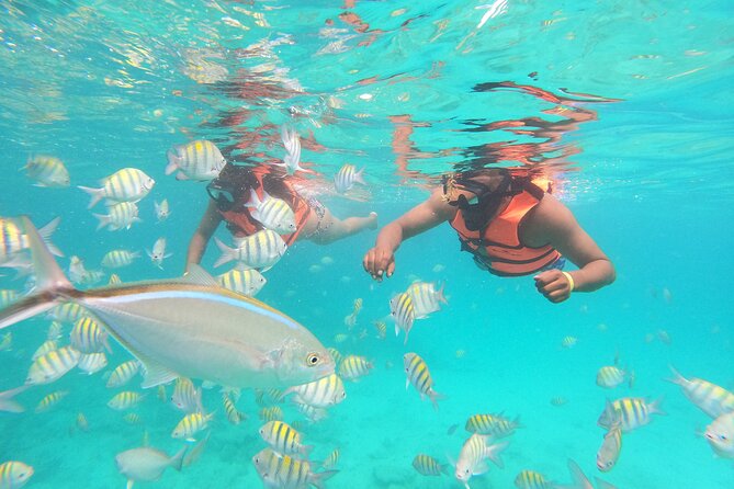 Speedboat Adventure to Snorkeling Spot and Natural Pool - Snorkeling over a coral reef for about 30 minutes