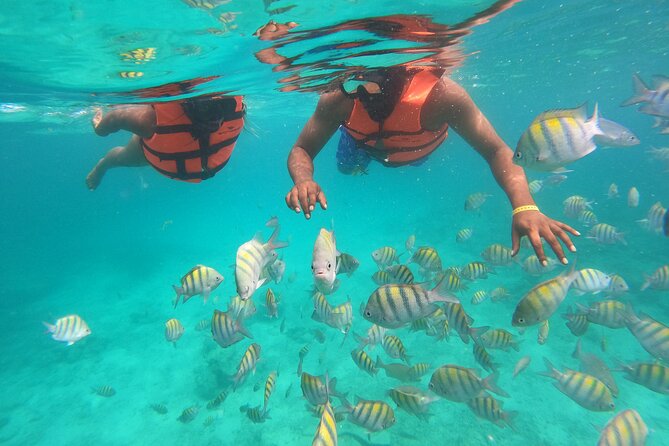Speedboat Adventure to Snorkeling Spot and Natural Pool - Pickup is the detail you should confirm twice