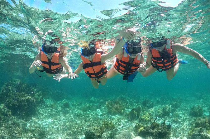 Speedboat and snorkel adventure - The true cost: more than the $20 headline price
