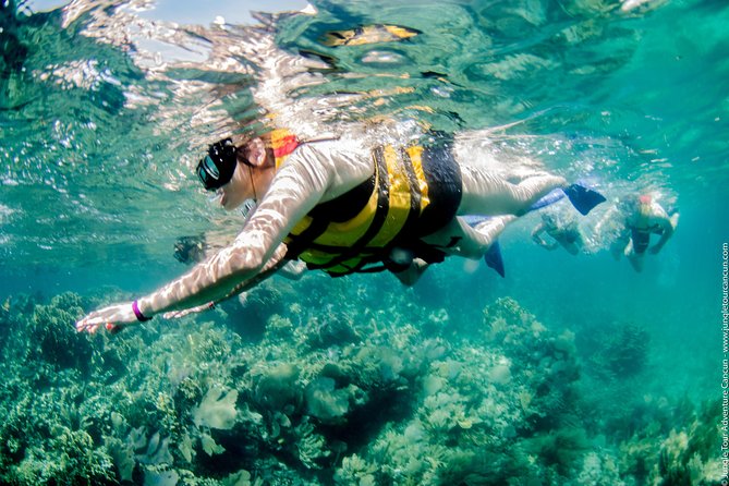 Speedboat and snorkel tour: Single Passenger Boat - Practical timing and what to bring