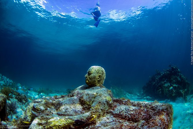 Speedboat and snorkel tour: Single Passenger Boat - Cancellation and weather planning