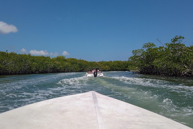 Speedboat and snorkel tour: Single Passenger Boat - Starting at the Jungle Tour Adventure Cancun marina