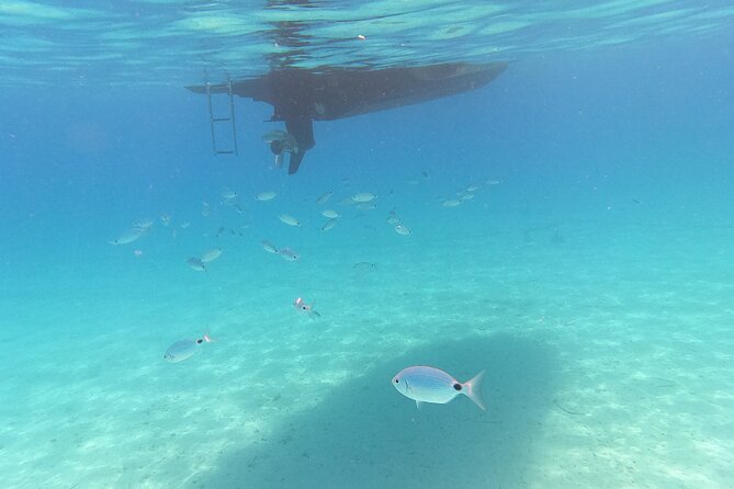 Speedboat Beach escape to Zadar Islands - Who should book this island escape?