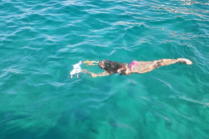 Speedboat Beach escape to Zadar Islands - Kostanj Beach: one hour in the water