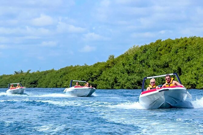 Speedboat Excursion: Thrilling Drive & Snorkel in Cancun Lagoon! - Who will enjoy this outing most
