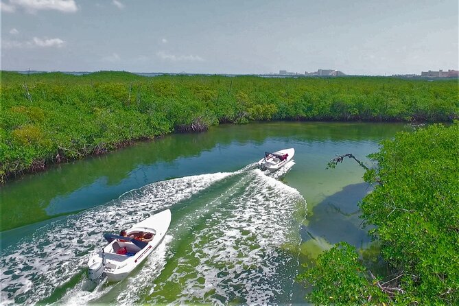 Speedboat Excursion: Thrilling Drive & Snorkel in Cancun Lagoon! - The lagoon stop and the snorkel session