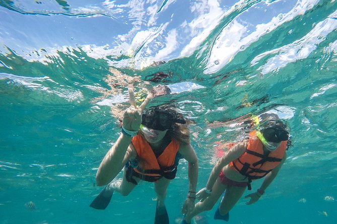 Speedboat jungle tour and snorkel - Timing, group size, and what to bring