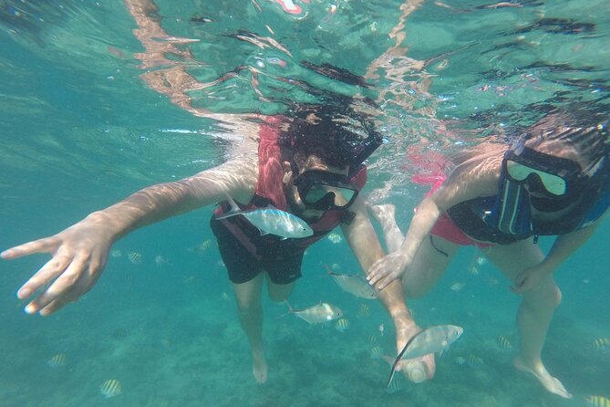 Speedboat Sailing with Snorkeling Experience in Punta Cana - Who will enjoy this most