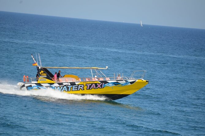 SpeedBoat Shuttle to Lobos Island - What to expect during the Lobos Island stop