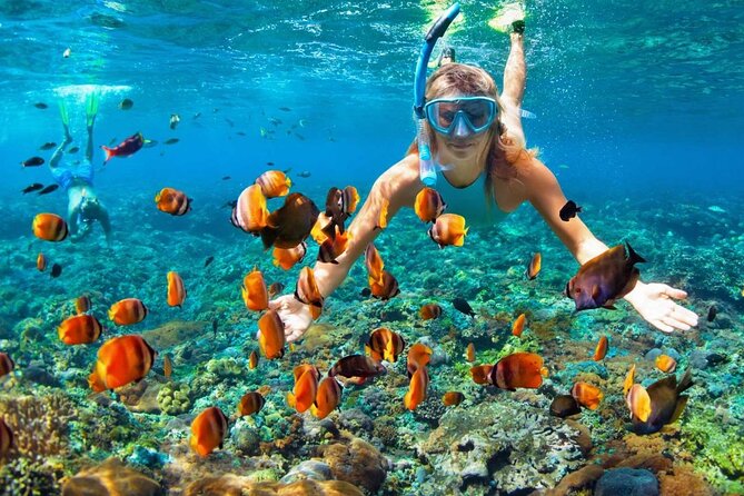 Speedboat & Snorkeling from Punta Cana - The guide makes the speedboat portion work