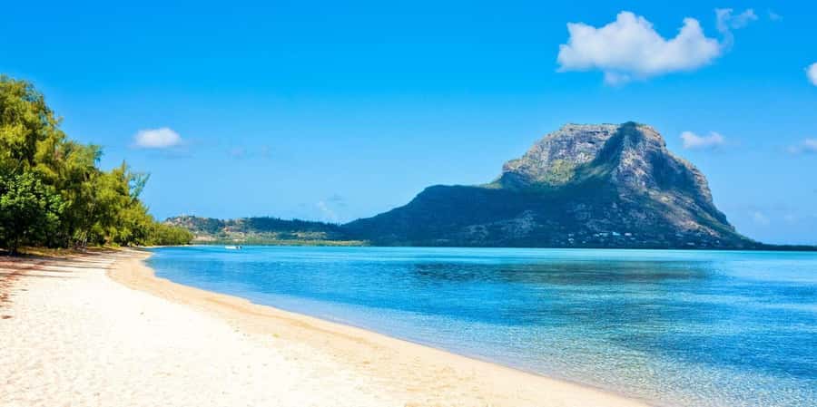 Speedboat to Ile aux Benitier: Dolphin Encounter & Lunch - The Dolphin Encounter in Open Water