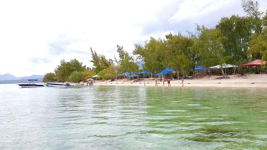 Speedboat to Ile aux Benitier: Dolphin Encounter & Lunch - Snorkeling, Fish, and Changing Water Conditions
