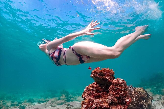 Speedboat Tour From Pattaya to Koh Larn Coral & Sak Island - Snorkeling and paddle boards: manage expectations