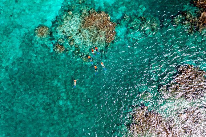 Speedboat Tour, Snorkel & Drinks - Salbutes and flavored waters