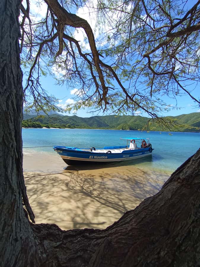 SPEEDBOAT TOUR TO TAYRONA CRISTAL BEACH - Key points before you book