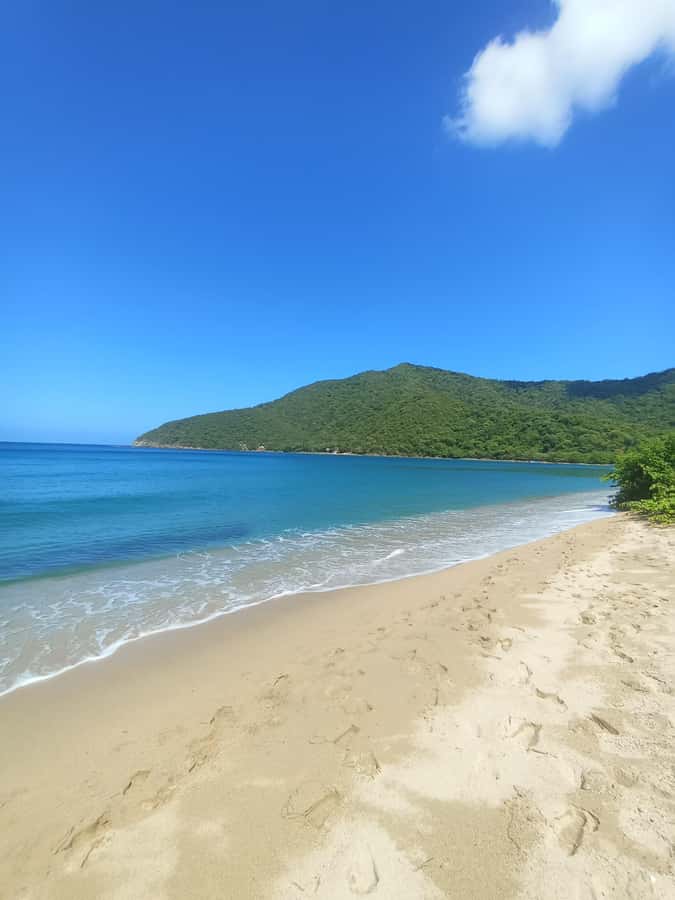 SPEEDBOAT TOUR TO TAYRONA CRISTAL BEACH - Why Playa Cristal makes this trip appealing