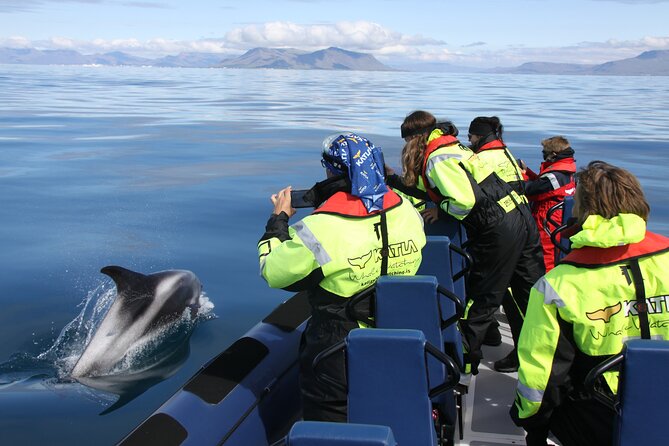 Speedboat Whale Watching Small-Group Tour in Reykjavik - Why this small RIB makes a difference