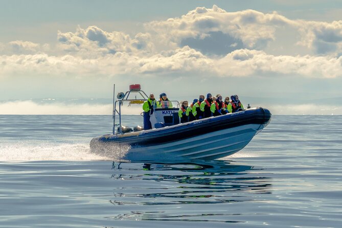 Speedboat Whale Watching Small-Group Tour in Reykjavik - Leaving Geirsgata and meeting the bay