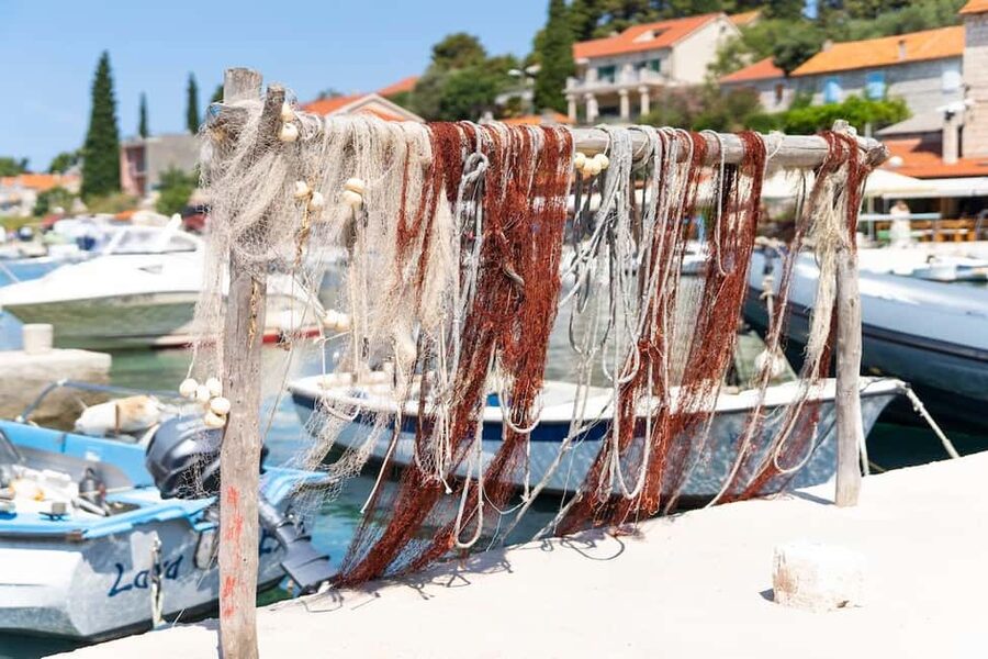 Split: Blue Lagoon, Trogir & Solta Speedboat Tour - Who should book this outing