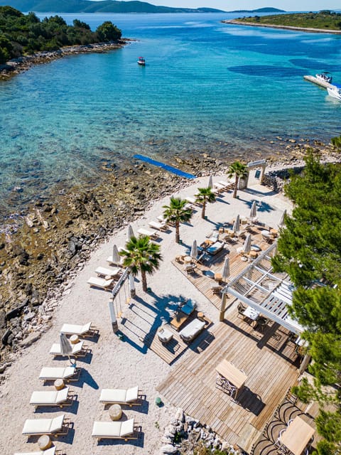 Split/Trogir: Half-Day 3-Island Speedboat Adventure - Morning or afternoon departure?