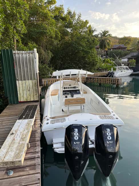 St Lucia: Private Speed Boat Tour from Castries - What the $750 Price Really Buys