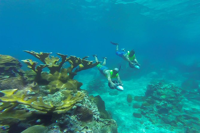 St. Lucia Speedboat and Power Snorkel From Castries - Who should book this outing