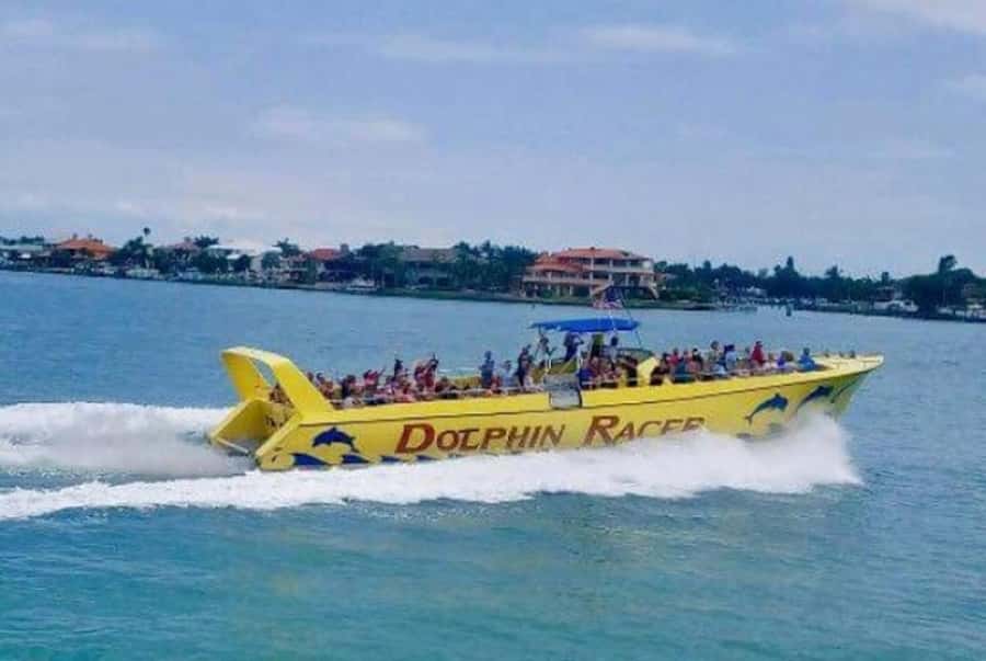 St. Pete Beach: Dolphin Racer Cruise by Speedboat - Key points at a glance