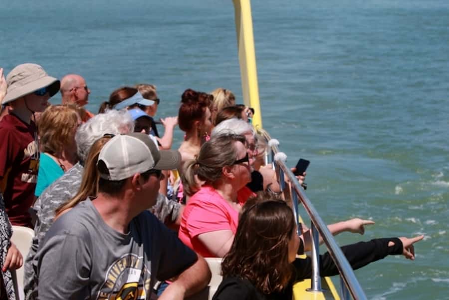 St. Pete Beach: Dolphin Racer Cruise by Speedboat - Practical tips for a smoother outing