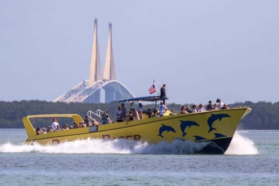 St. Pete Beach: Dolphin Racer Cruise by Speedboat - What the speedboat ride feels like