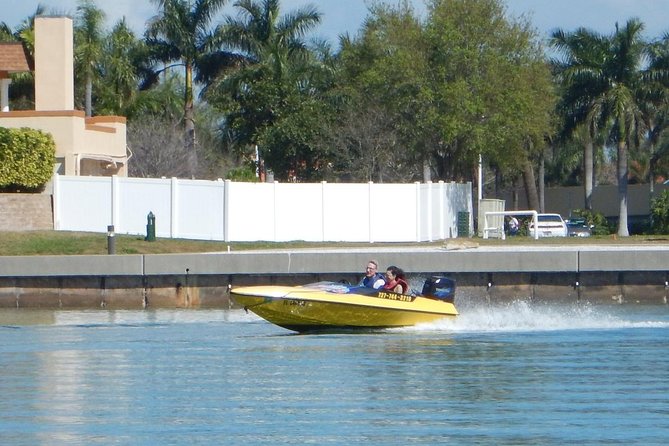 St Petersburg Speed Boat Adventure - Watching for dolphins and coastal wildlife
