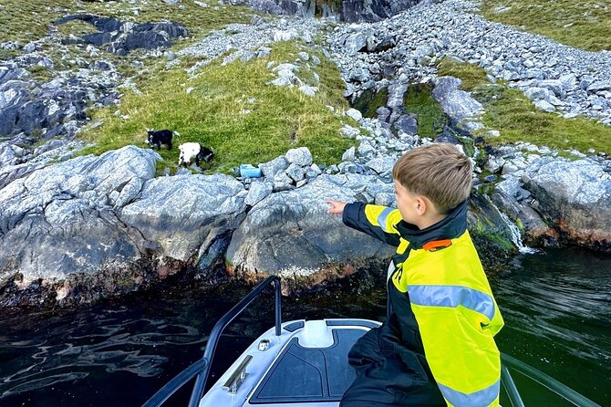 Stavanger: Guided Lysefjord Safari on Speedboat - Comfort, safety, and the feel of the ride