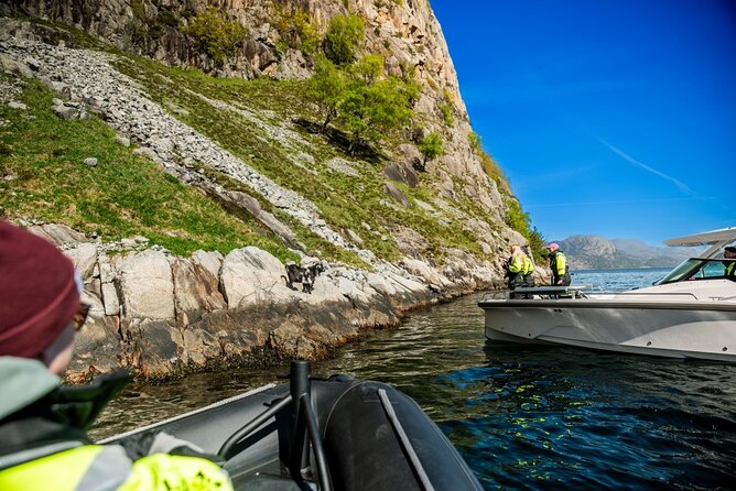 Stavanger: Guided Lysefjord Safari on Speedboat - Price, timing, and who gets good value