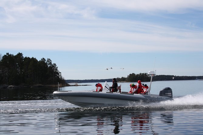 Stockholm RIB Speed Boat Tour - Nationalmuseum and Stockholm’s waterfront