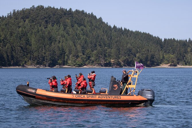 Summer Whale Watching Tour in a Zodiac Boat in Victoria - The real prize is the open-water search