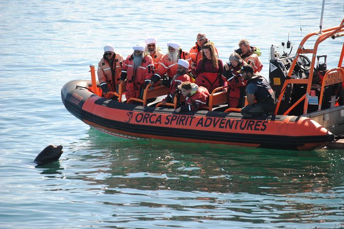Summer Whale Watching Tour in a Zodiac Boat in Victoria - Is $144.30 good value?