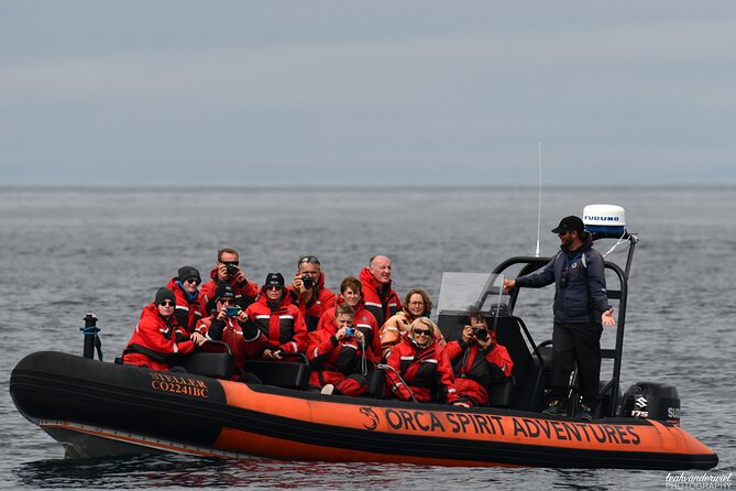 Summer Whale Watching Tour in a Zodiac Boat in Victoria - Timing, cancellations, and practical limits