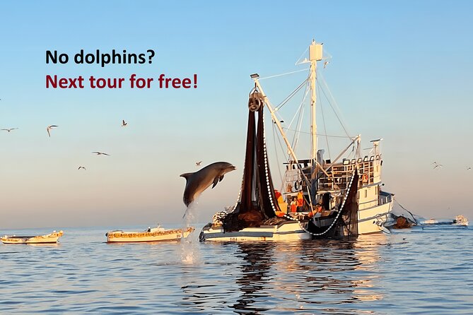 Sunrise Dolphins & Fishermen at Work speedboat tour in Rovinj - Key points about the Rovinj sunrise boat trip