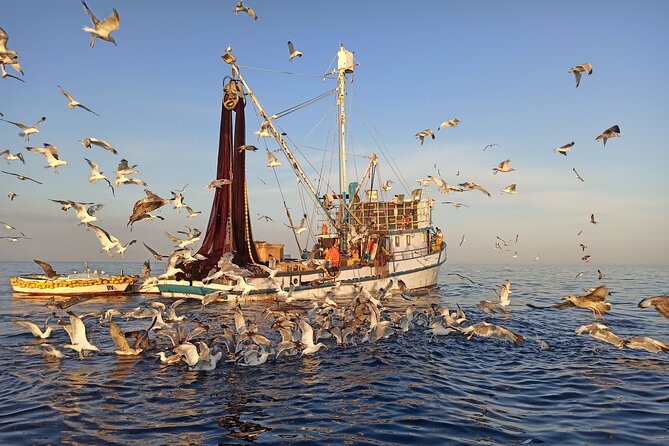 Sunrise Dolphins & Fishermen at Work speedboat tour in Rovinj - The 20 to 30 minute ride offshore