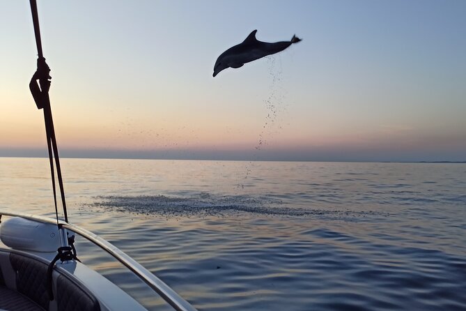 Sunrise Dolphins & Fishermen at Work speedboat tour in Rovinj - Finding the pickup point at the pier